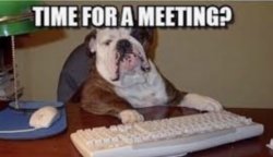 Bulldog meeting